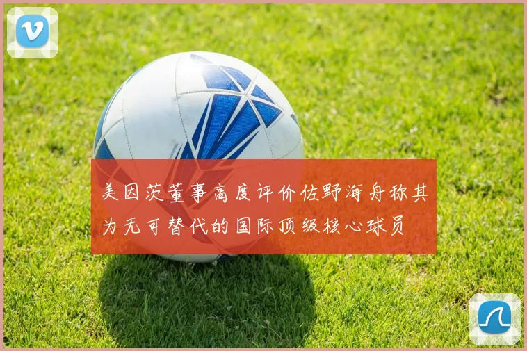 美因茨董事高度评价佐野海舟称其为无可替代的国际顶级核心球员