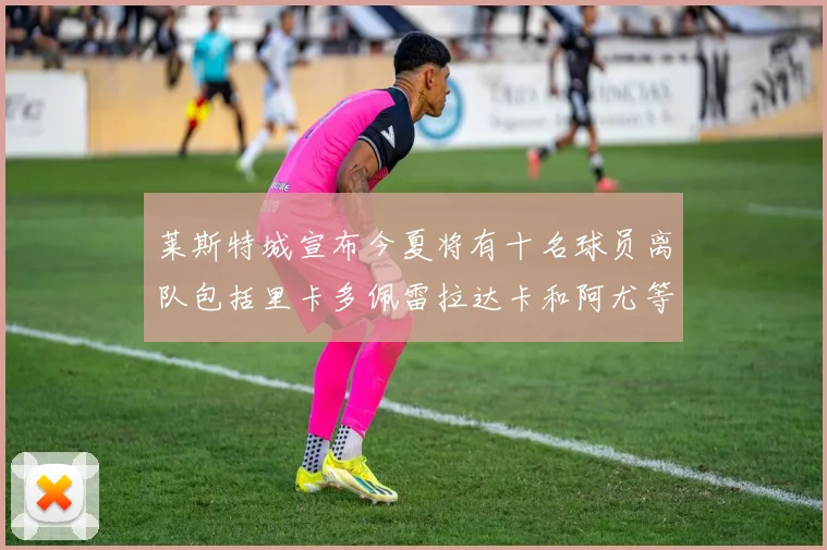 莱斯特城宣布今夏将有十名球员离队包括里卡多佩雷拉达卡和阿尤等人