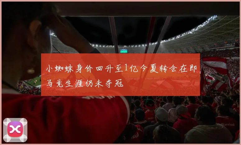 小蜘蛛身价回升至1亿今夏转会在即马竞生涯仍未夺冠